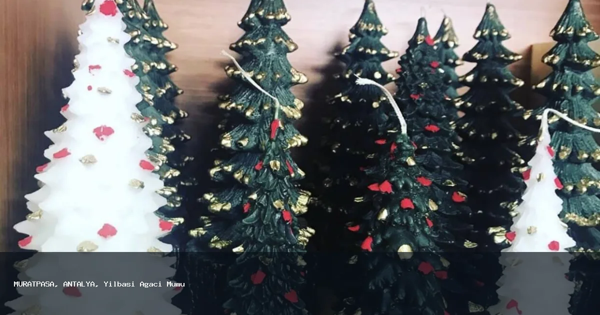 MURATPAŞA Bölgesinde Yılbaşı Ağacı Mumu Hizmeti